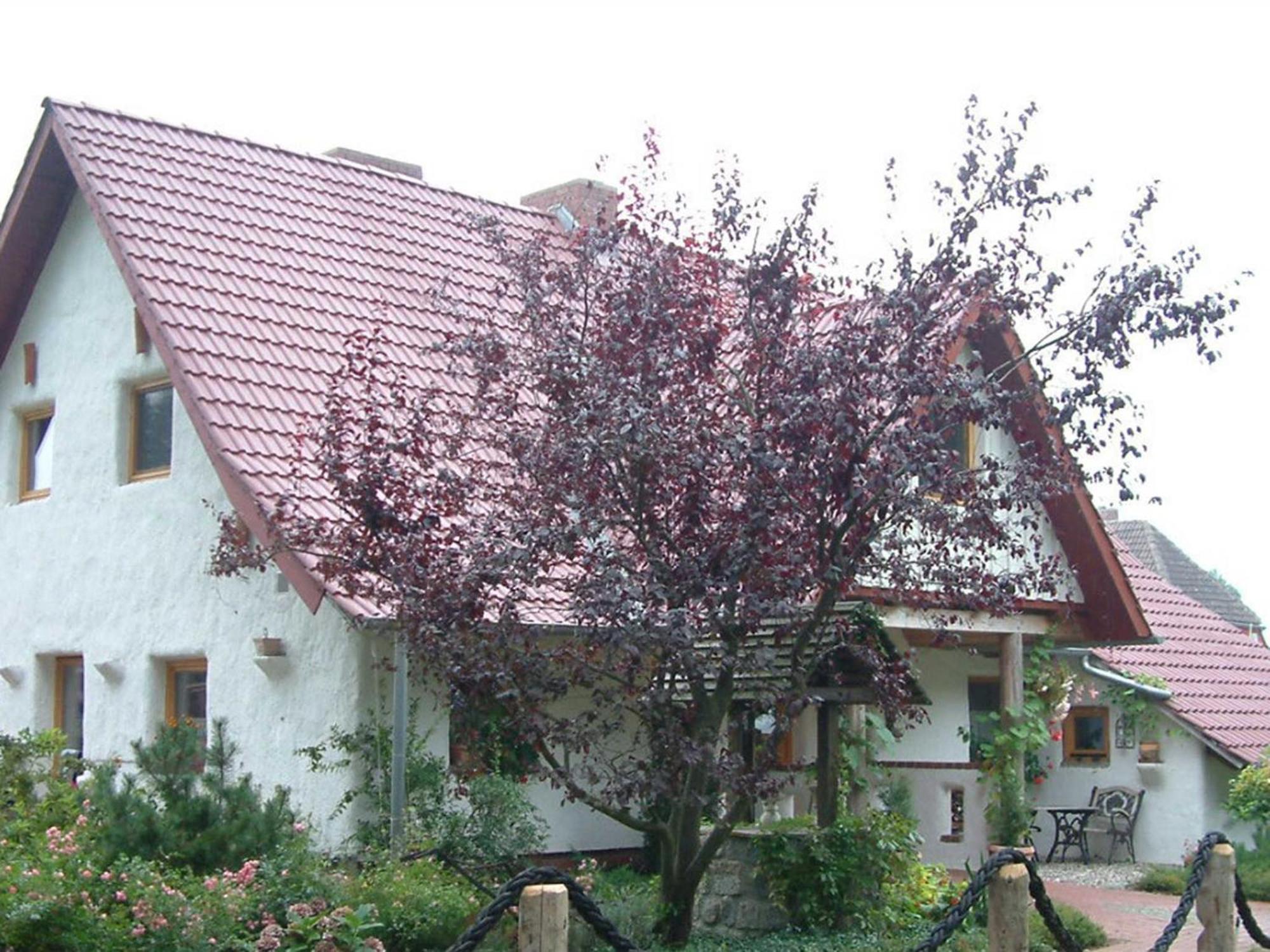 Haus Jasmin Διαμέρισμα Bodstedt Εξωτερικό φωτογραφία